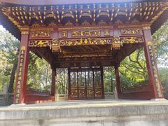 -汇龙潭