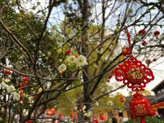 -龙华寺
