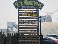 -柴犬高等学院·狗咖·柴犬售卖·宠物训练