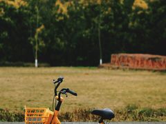 -白鹭湾湿地公园