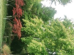 -昆山城市生态森林公园