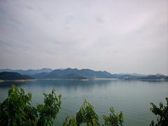 -望湖烤鱼