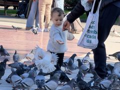 -加泰罗尼亚广场