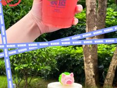 -茶救星球·蔬果茶(福田水围店)