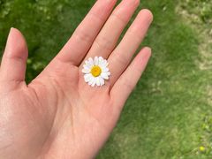 -漩门湾国家湿地公园