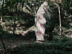 -上海佘山国家森林公园天马山园