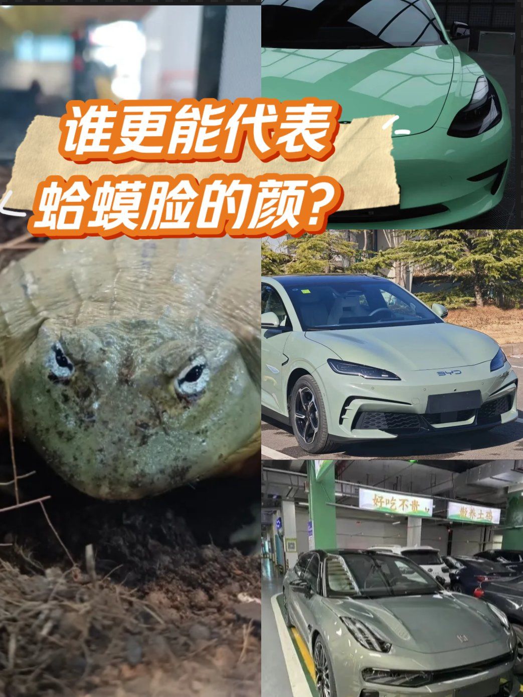 今天就来给大家盘一盘几款新能源车的前脸,看看谁才是"蛤蟆脸"的有力