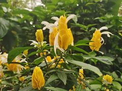 -北京植物园-展览温室