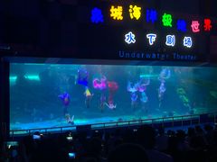 -泉城欧乐堡海洋极地世界