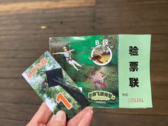 -西双版纳原始森林公园