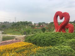 -紫颐香薰山谷景区