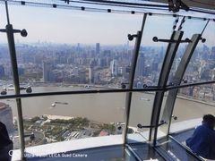 -东方明珠259米全透明悬空观光廊
