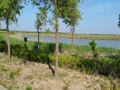 -南大港湿地风景区