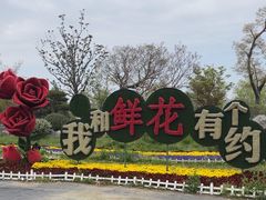 -南通鲜花小镇