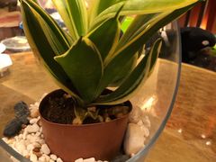 -铭轩中餐厅·海南菜·粤菜(亚龙湾瑞吉店)