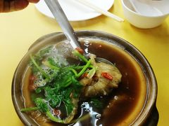 -义福巷鱼翅燕窝