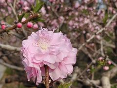 -国家植物园