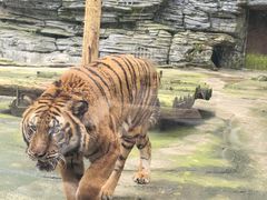 -贵州森林野生动物园