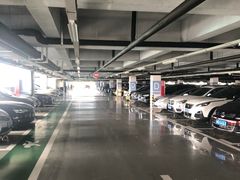 -上海海昌海洋公园-停车场