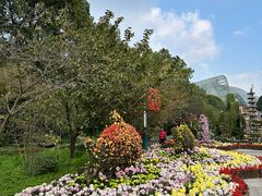 -南山植物园