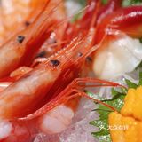 软糯的甜虾 自带鲜甜 柔软的海胆