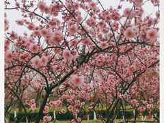 -白塘生态植物园