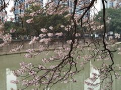 -红星桥(地铁站)