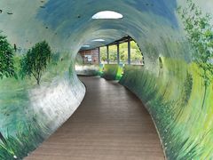-福田红树林生态公园
