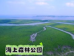 -东寨港红树林旅游区