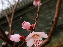-三里河公园