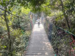 -夏霖九天银瀑风景区