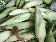 -武汉世外桃源农庄