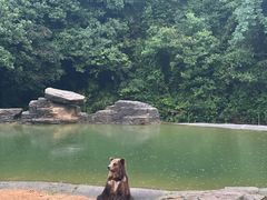 -杭州野生动物世界