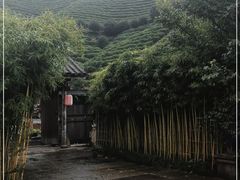 -心无尘茶餐馆(径山村店)