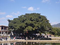 -福建土楼(南靖)景区