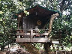 -鹤之洲湿地公园