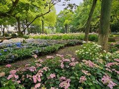 -上海鲜花港