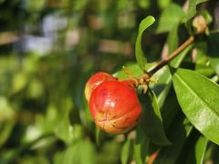 -长沙滨江文化园