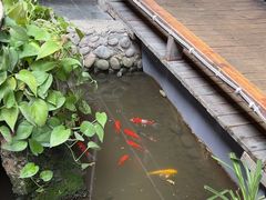 -三道苗苗鱼·美蛙黄辣丁(八里店)
