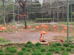 -石家庄市动物园