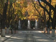 -山东大学(趵突泉校区)