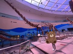 -陕西自然博物馆