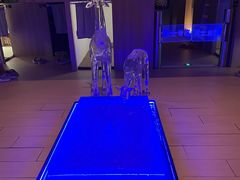 -汤泉良子.足疗按摩.SPA(中关村店)