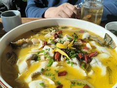 雅菲酸菜鲈鱼-YAFEE雅菲·粤菜·湘菜·融合菜(魏公村店)