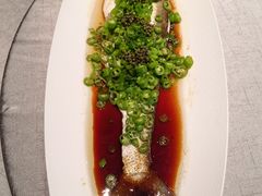 -新光酒家·河豚·海鲜·蟹料理(浦东店)