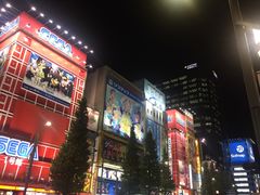-Animate(秋叶原本馆)