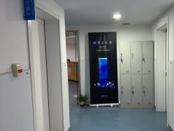 -温州伯思立医院