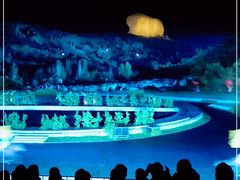 -鼎盛王朝康熙大典实景演出