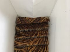 巧克力吐司-爸爸糖手工吐司(苏州环球188店)