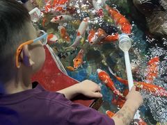 -太平洋海底世界